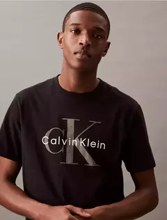 Remera Calvin Klein Hombre en internet