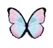 Apliques Comestibles de Mariposa x36 un