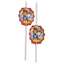 Sorbetes Paw Patrol x 6