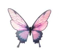 Apliques Comestibles de Mariposa x36 un - comprar online