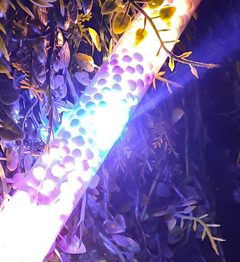 Vera con Luz y Pelotitas - comprar online