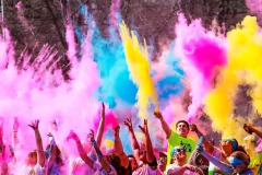 Polvito Holi