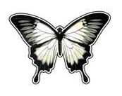 Apliques Comestibles de Mariposa x36 un - Cotillón Amorosi