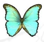 Imagen de Apliques Comestibles de Mariposa x36 un