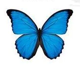 Apliques Comestibles de Mariposa x36 un en internet