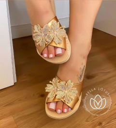 Havaianas Aqua - comprar online