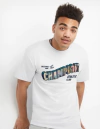 remera champion