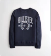 Buzo hollister