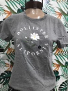 Remera hollister