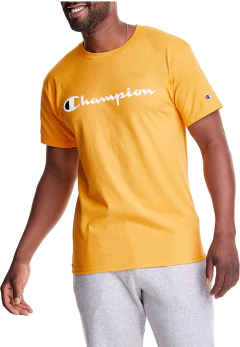 remera champion