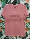 Remera Aeropostale