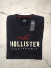 Remera hollister