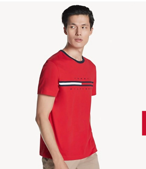 remera tommy hilfiger