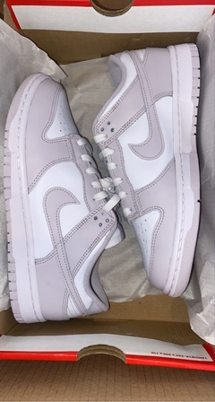 Zapatillas Nike Sb Dunk Low Venice en internet