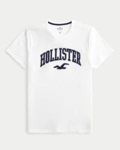 Remera Hollister en internet