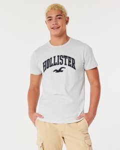 Remera Hollister
