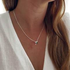 Collar Humming Bird