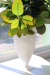 Florero White and Dramatic en internet