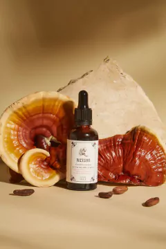 Reishi con Cacao Orgánico - Caro Soma - comprar online
