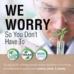 Hongo Melena de Leon Solaray - 60 cápsulas en internet