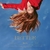 BOA - BETTER (NORMAL VERSION)