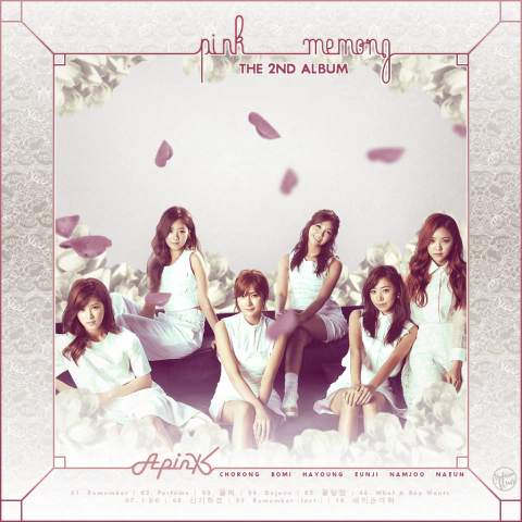 APINK - PINK MEMORY