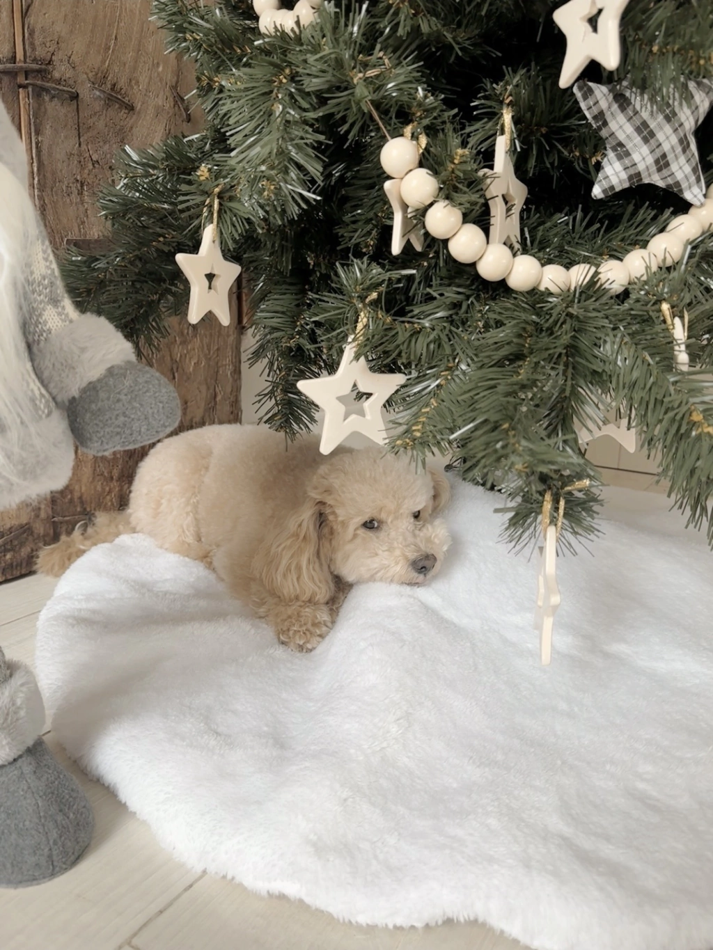 Base para árbol de navidad