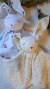 Trapito de apego cotton - tienda online
