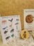 Imagen de Juego de memoria : animales autoctonos