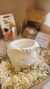 Kit de arte Pinta y siembra tu propia maceta - tienda online