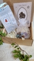 Kit Explorando los Cristales - comprar online