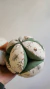 Pelota Montessori - comprar online