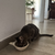 BOWLS 2DA SELECCION - tienda online