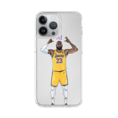 Lebron James 23