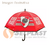 PARAGUA INFANTIL 17" RIVER PLATE CR.53824