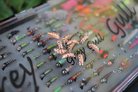 Banner de la categoría TUNGSTENOS GREY GULL