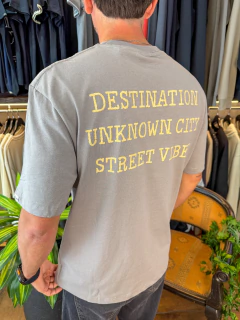 Remera Destination gris claro