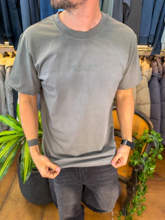 Remera Season gris en internet
