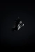 Imagen de KILLER BLACK