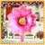 Globos Forma Flor - tienda online
