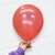 Imagen de Látex ESMALTADOS 12 Pulgadas Hola Ballons (25 unidades)