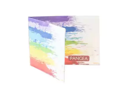 BILLETERA ECO PAPEL TYVEK - PRIDE by PANGEA