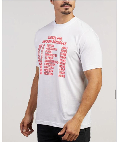 Camiseta Estampada DSL Branca - comprar online