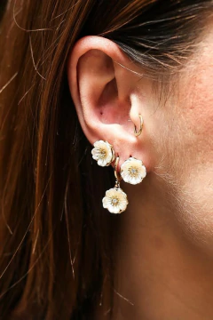 1215 - Trio Florzinha na internet