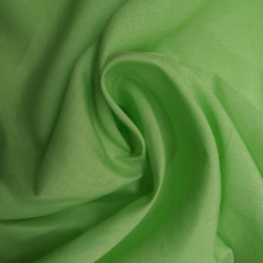 Bary - Verde Pantone® 13-0220 - comprar online