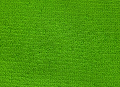 Coconut - Verde 10685 Pantone® 15-0545 - comprar online