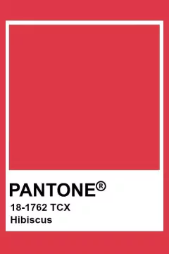 Bary - Melancia Pantone® 18-1658 - comprar online