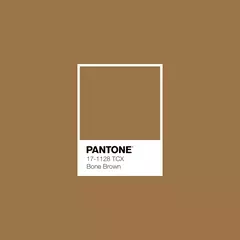 Lindíssima - Bone Brown Pantone 17-1128 - G. Vallone Têxtil