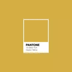 Jackie Novo - Ceyllon Yellow on internet