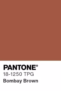 Splendor - Marrom 18-1250 en internet